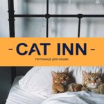 Cat Inn
